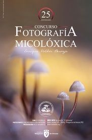 MICOLÓGICA ENRIQUE VALDÉS BERMEJO: Concurso de Fotografía para Todos 1 micologica enrique valdes bermejo concurso de fotografia para todos